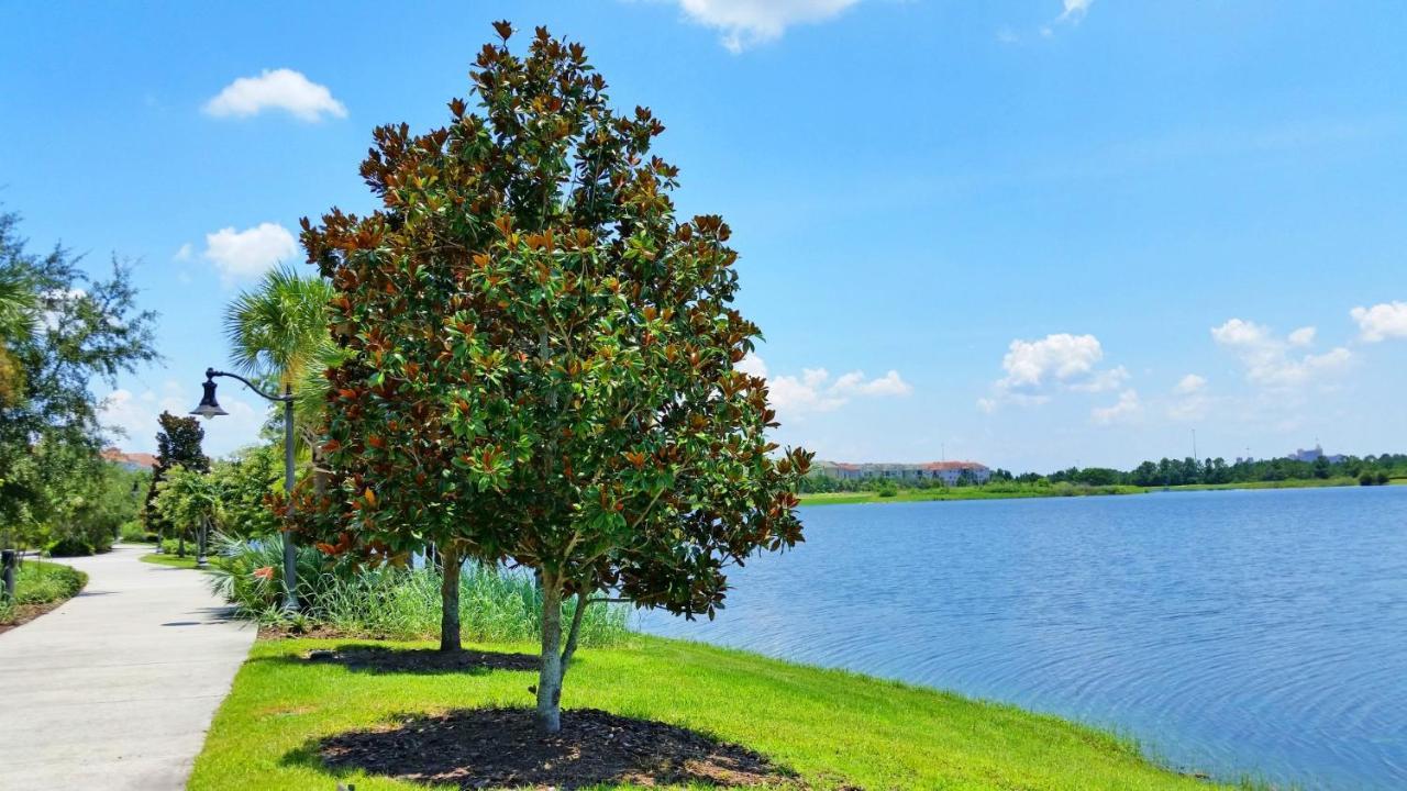 Beautiful Vista Cay Condo, Near Disney Kissimmee Exteriér fotografie